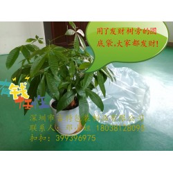 PE圓底塑料袋、有機(jī)硅膠圓底桶狀包裝袋、高壓圓底袋