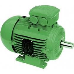 電機(jī) 哪里好 來濟(jì)南找瑞眾 技術(shù)精湛 價格合理  高貴的象征