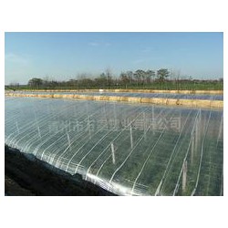 市場上品牌好的EVA農(nóng)膜在哪里可以找到，EVA農(nóng)膜批發(fā)