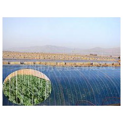 市場上品牌好的灌漿膜在哪里可以找到，灌漿膜圖片