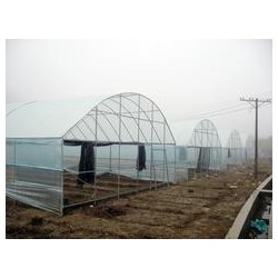 EVA農膜，專業(yè)的EVA農膜提供商