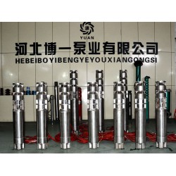 選購高質(zhì)量的不銹鋼潛水泵就選博一泵業(yè)_優(yōu)質(zhì)耐酸堿潛水泵