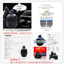 祥和精創(chuàng)凈化工程——專(zhuān)業(yè)的魚(yú)池水處理設(shè)備提供商 花園庭院魚(yú)池水凈化價(jià)位