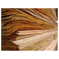 桉樹木料口碑*流|桉樹價(jià)位