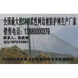 遂寧被動網(wǎng)，新款被動防護(hù)網(wǎng)成都有售