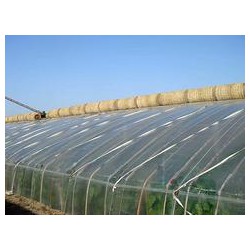 華盾塑料供應(yīng)優(yōu)良的壽光大棚膜，華盾大棚PO膜