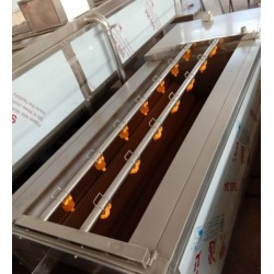 黃桃清洗機(jī)，黃桃罐頭加工全套設(shè)備