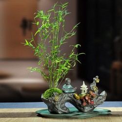 武漢辦公室盆栽室內(nèi)盆景公司花卉，武漢室外苗木商場綠植工廠盆栽