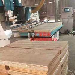 木工數(shù)控電子鋸，全自動往復(fù)電子鋸，數(shù)控電子鋸，實木縱橫電子鋸