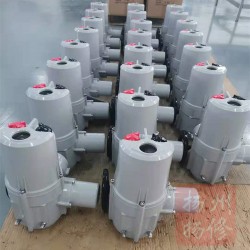 角行程電動執(zhí)行器F-DQW10，扭矩100NM鋁殼機型