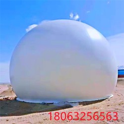 沼氣儲氣柜 PVD材質(zhì)獨立式氣柜 厭氧貯氣柜 廢氣收納柜