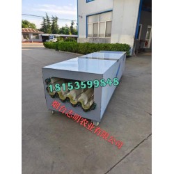 廣東甜瓜清洗加工噴淋洗果機(jī)