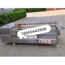 貴陽(yáng)芥菜毛輥調(diào)速噴淋式清洗機(jī)