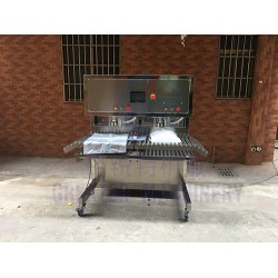 雙頭BIB無(wú)菌灌裝機(jī) 定量稱(chēng)重式盒中袋無(wú)菌灌裝 果蔬飲料液體