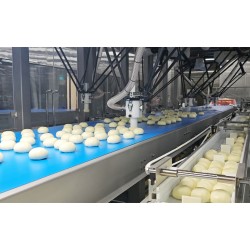 速凍包子裝托裝袋柔性自動化包裝生產(chǎn)線