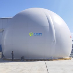 大白球雙膜氣柜WD68S